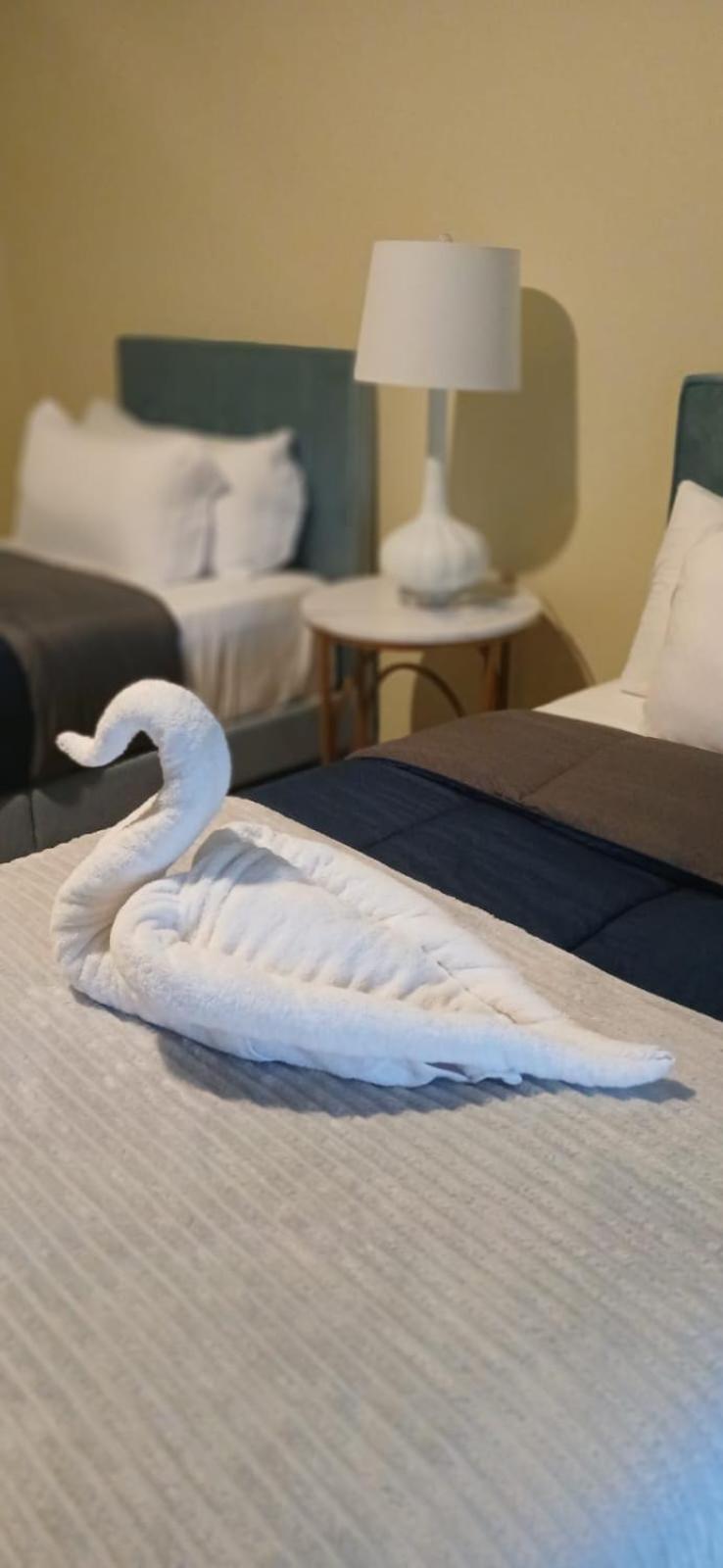 Sky'S Villa Resort Buff Bay Εξωτερικό φωτογραφία